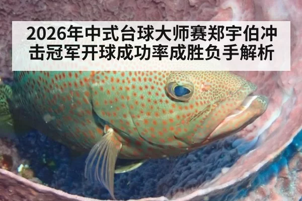 2026年中式台球大师赛郑宇伯冲击冠军开球成功率成胜负手解析